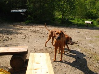 2010-06-04_ntb_0343