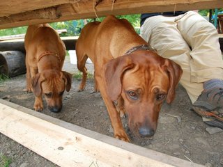 2010-06-04_ntb_0348