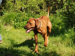 2010-06-04_ntb_0355
