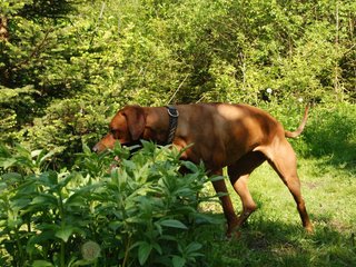 2010-06-04_ntb_0356