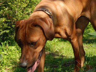 2010-06-04_ntb_0358
