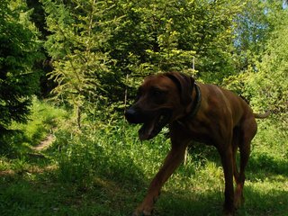 2010-06-04_ntb_0359