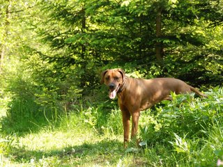 2010-06-04_ntb_0360