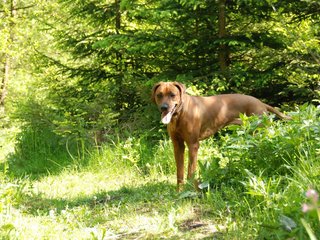 2010-06-04_ntb_0361