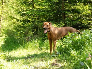 2010-06-04_ntb_0362
