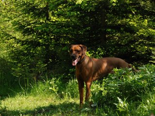 2010-06-04_ntb_0363