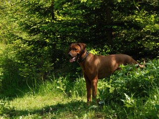 2010-06-04_ntb_0365