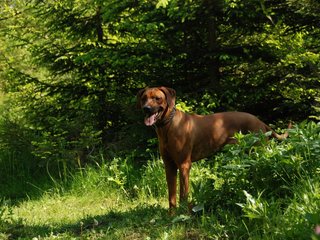 2010-06-04_ntb_0366