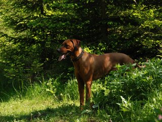 2010-06-04_ntb_0367