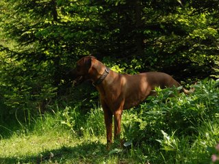 2010-06-04_ntb_0368
