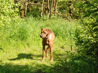 2010-06-04_ntb_0369