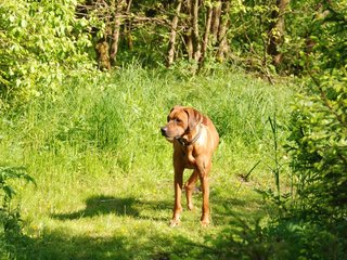 2010-06-04_ntb_0370