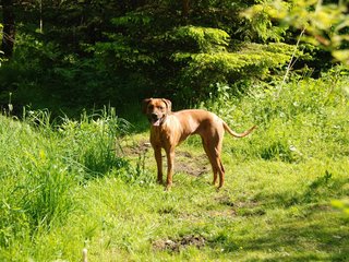 2010-06-04_ntb_0375