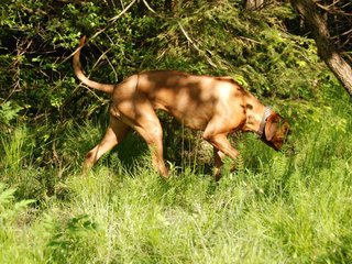 2010-06-04_ntb_0376