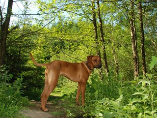 2010-06-04_ntb_0377