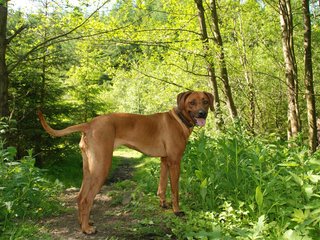 2010-06-04_ntb_0378