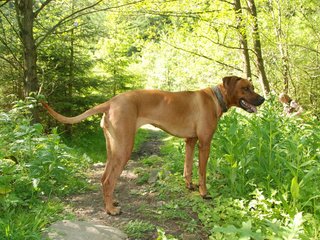 2010-06-04_ntb_0379