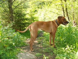 2010-06-04_ntb_0380
