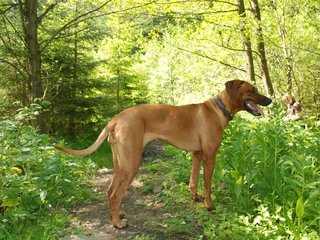 2010-06-04_ntb_0381