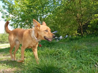2010-06-04_ntb_0385