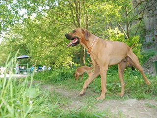 2010-06-04_ntb_0387