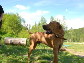 2010-06-04_ntb_0389