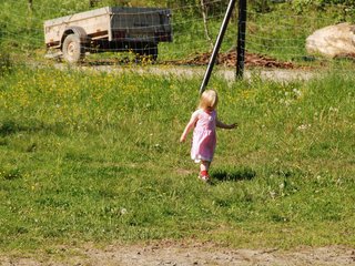 2010-06-04_ntb_0390
