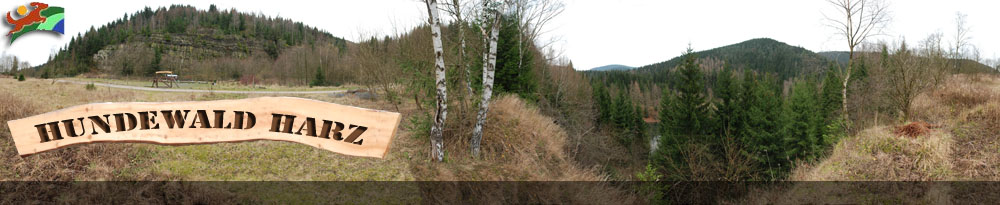 Hundewald Harz &ndash; die originale Panoramaaufnahme mit dem Hundewald-Schriftzug