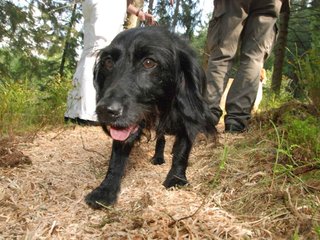 2009-09-20_ntb_8607
