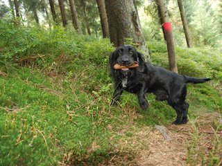 2009-09-20_ntb_8612