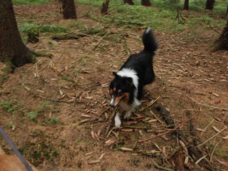 2009-09-20_ntb_8624