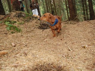 2009-09-20_ntb_8625