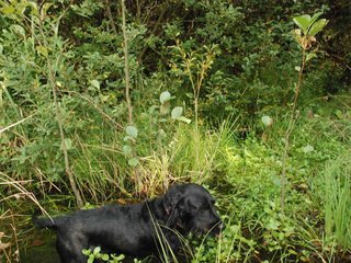 2009-09-20_ntb_8632