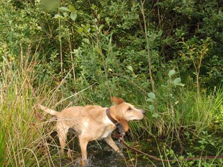 2009-09-20_ntb_8634