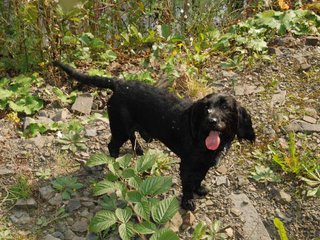 2009-09-20_ntb_8636