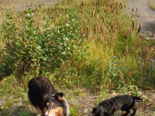 2009-09-20_ntb_8638