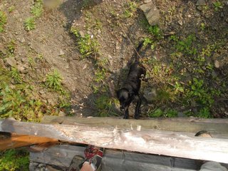 2009-09-20_ntb_8639