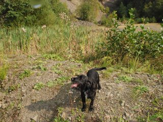 2009-09-20_ntb_8641