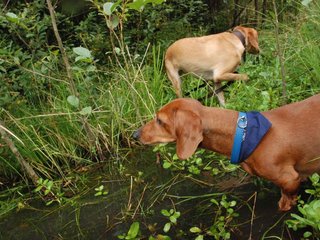 2009-09-20_ntb_8647