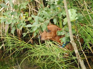 2009-09-20_ntb_8648