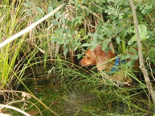 2009-09-20_ntb_8649