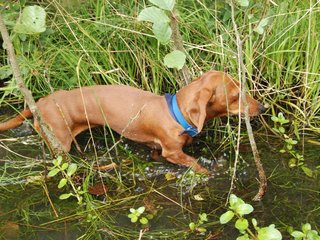 2009-09-20_ntb_8651