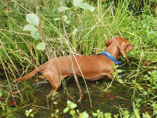 2009-09-20_ntb_8652