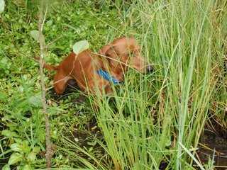 2009-09-20_ntb_8653