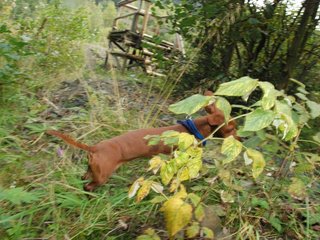 2009-09-20_ntb_8654