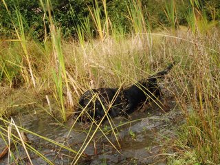 2009-09-20_ntb_8656