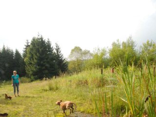 2009-09-20_ntb_8658