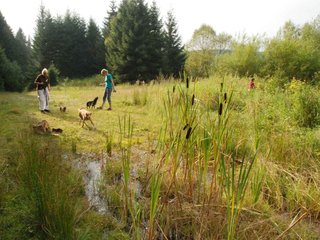 2009-09-20_ntb_8660