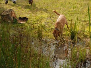 2009-09-20_ntb_8661