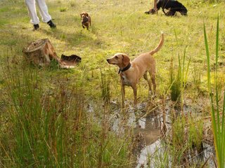 2009-09-20_ntb_8662